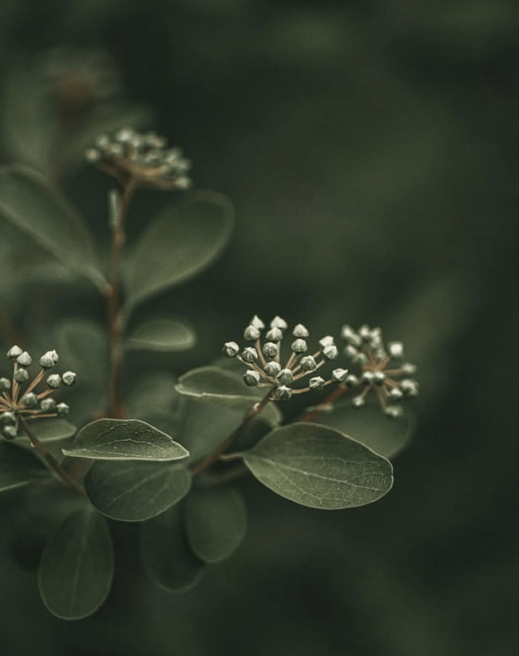 Inversión inteligente