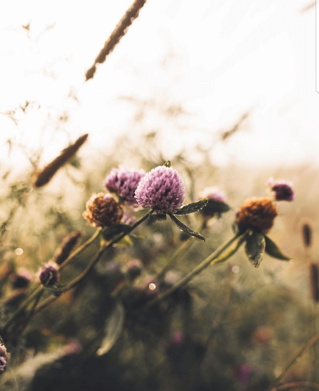 Un Oasis Exterior Funcional