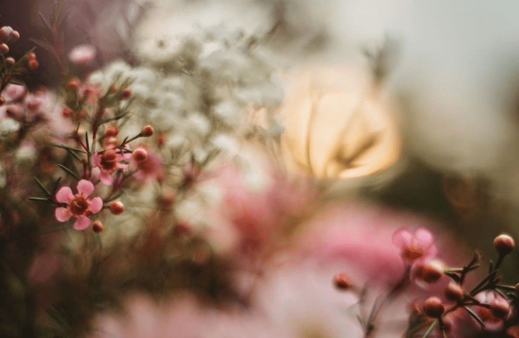 Inversión en Bienestar